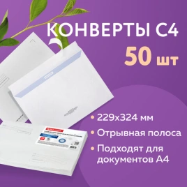 Конверты C4 (229х324мм), отрыв.лента Куда-Кому 100 г/м2, КОМПЛЕКТ 50 шт, внутр.запечатка BRAUBERG