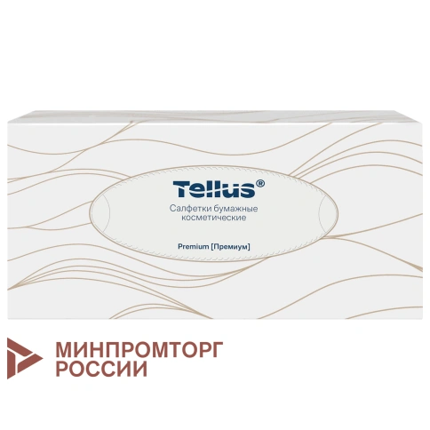 Салфетки косметические 100 штук в картонном боксе, 2-слойные, TORK Premium (Система F1), 126560 фото 1