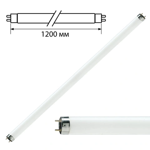 Лампа люминесцентная PHILIPS TL-D 36W/33-640, 36 Вт, цоколь G13, в виде трубки 120 см фото 1