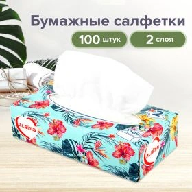 Салфетки косметические 100 шт. в картонном боксе 2-слойные, LAIMA "Everyday", 20х20 см, 113588  фото 1